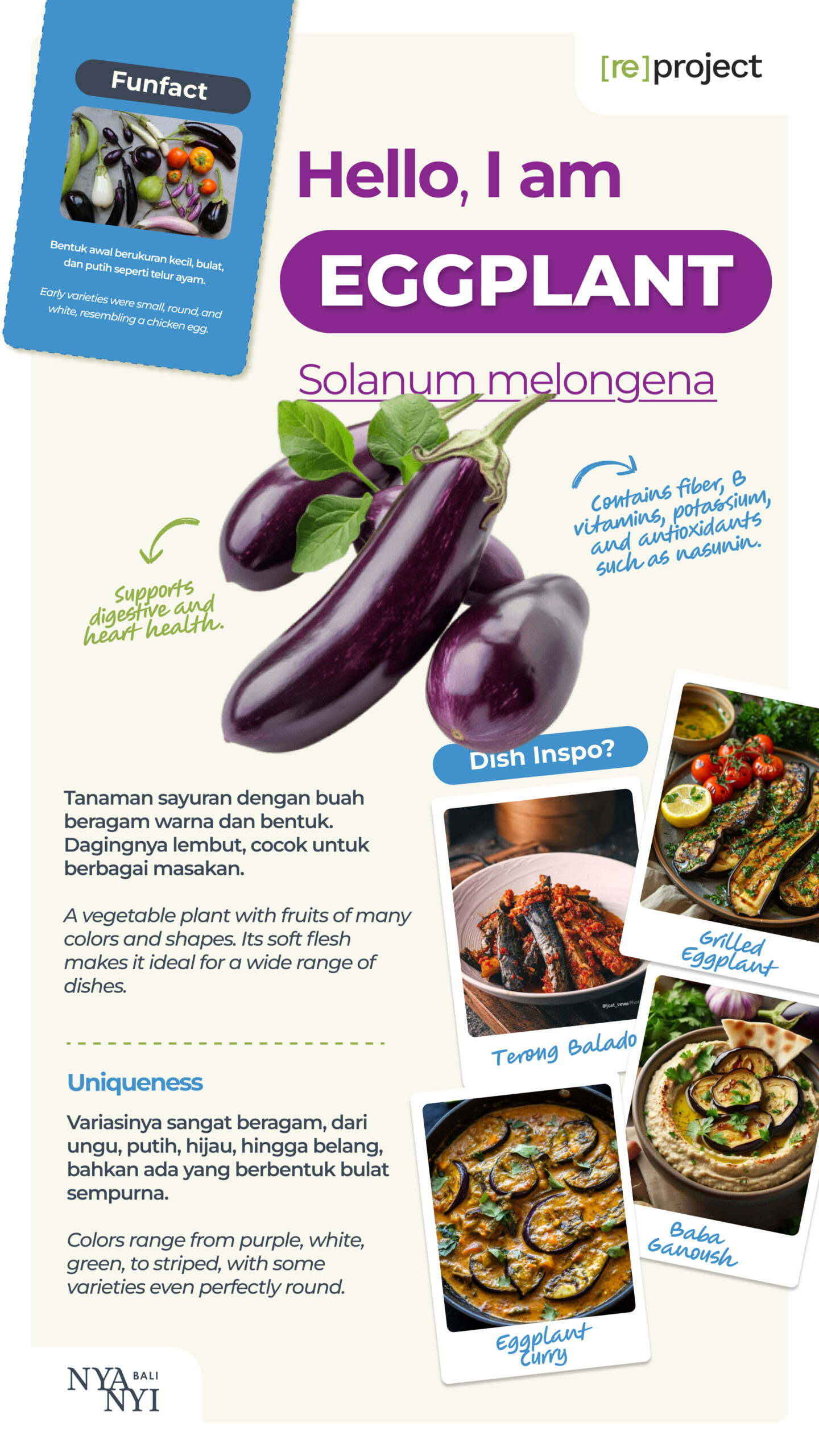 Eggplant Nyanyi Bali Hero