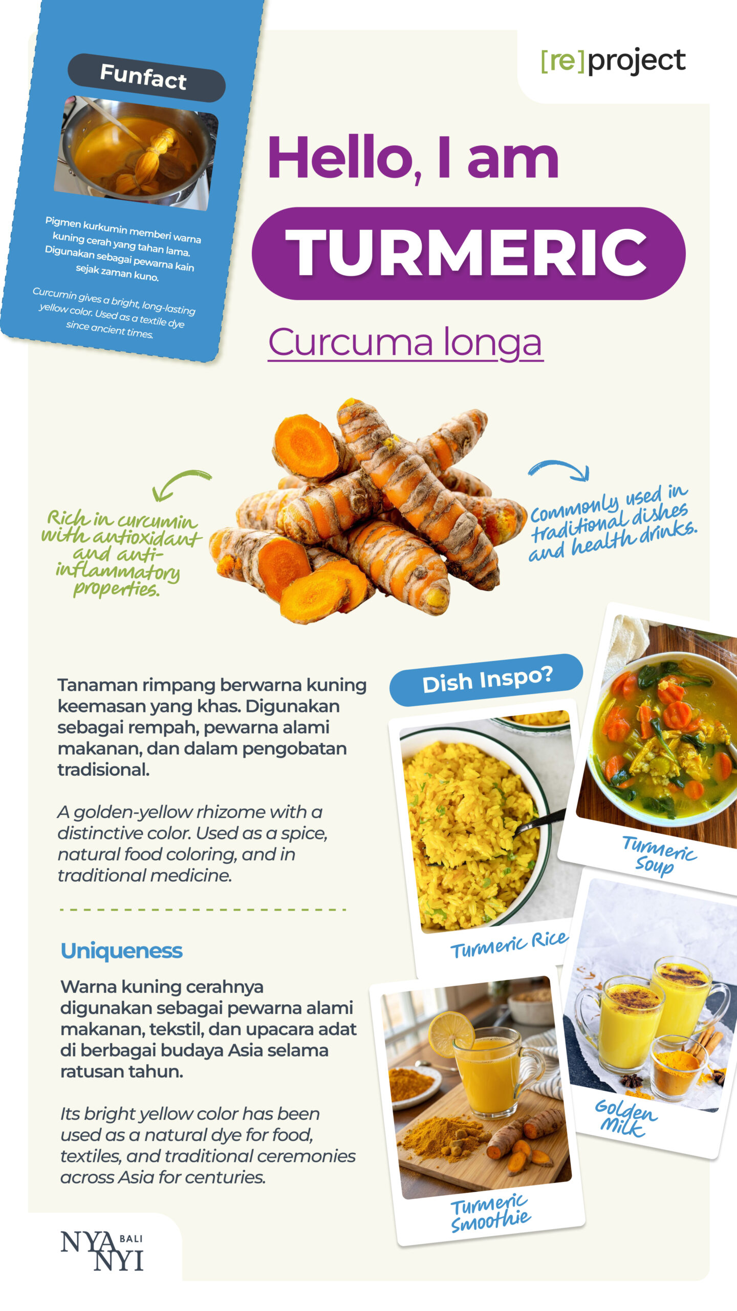 Turmeric Nyanyi Bali Hero