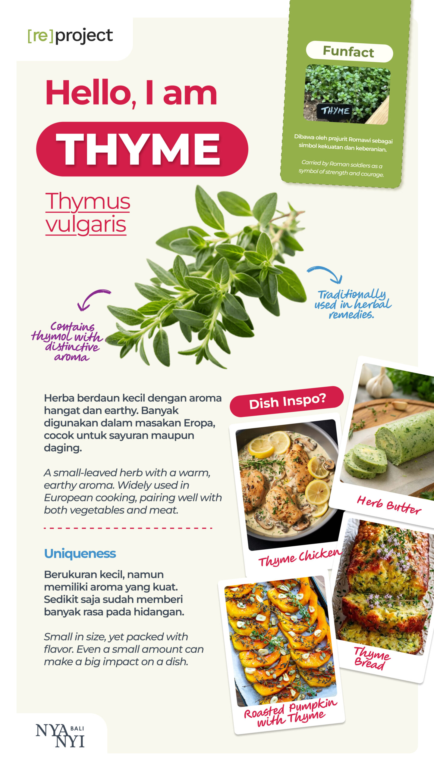 Thyme Nyanyi Bali Hero