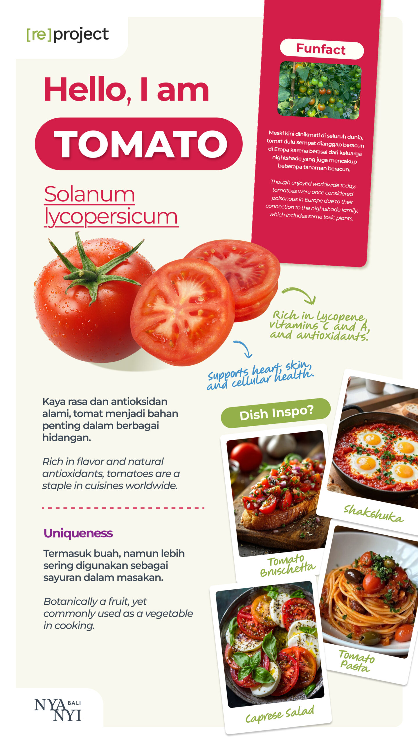 Tomato Nyanyi Bali Hero