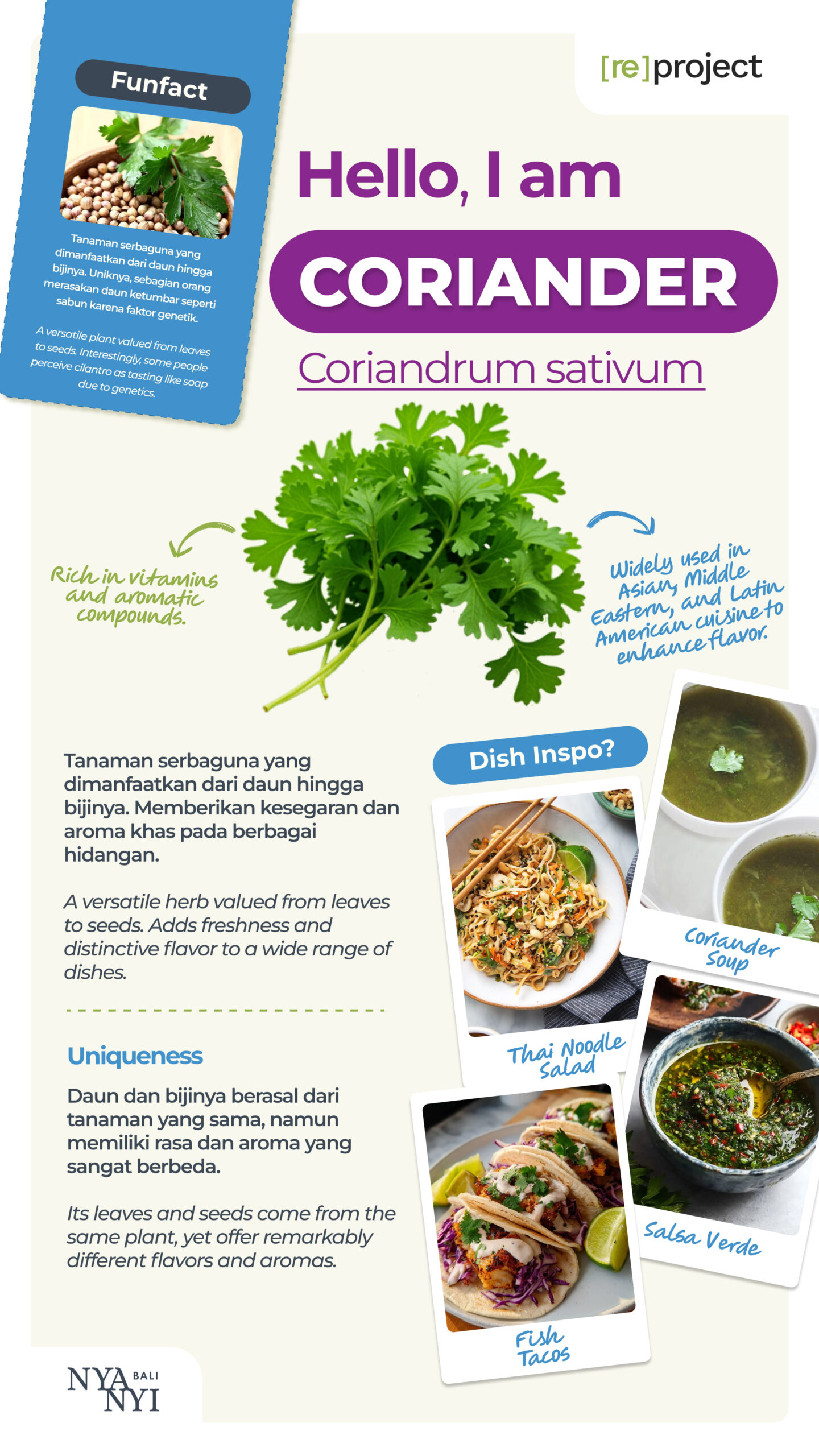 Coriander Nyanyi Bali Hero
