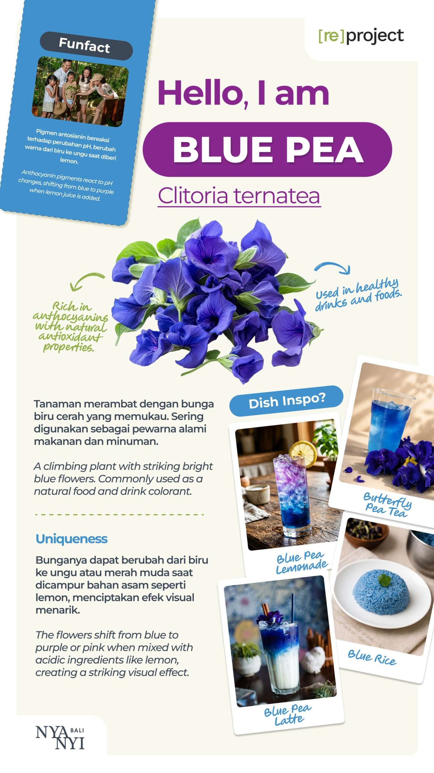 Blue Pea Nyanyi Bali Hero