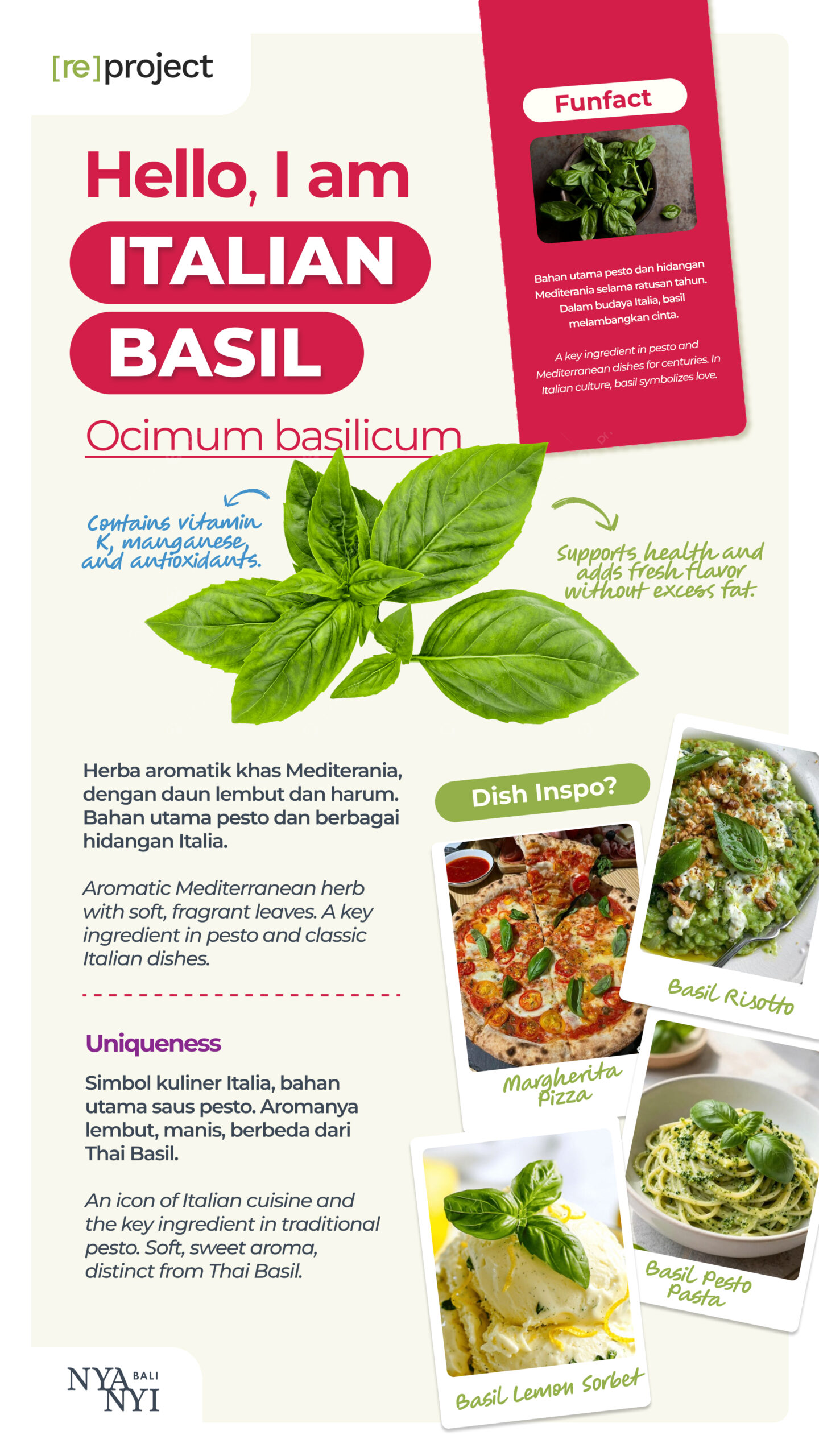 Italian Basil Nyanyi Bali Hero
