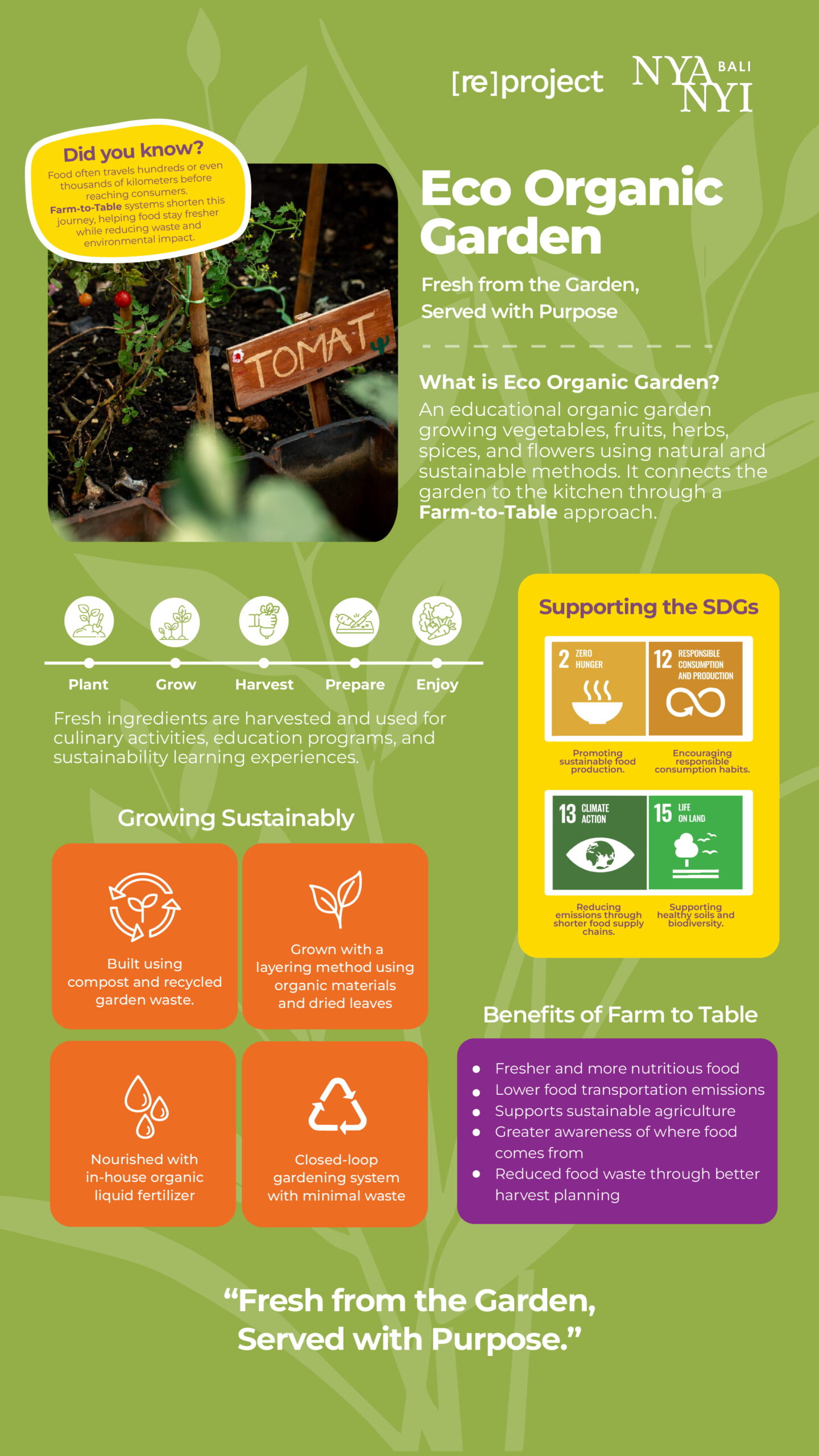 Eco Organic Garden