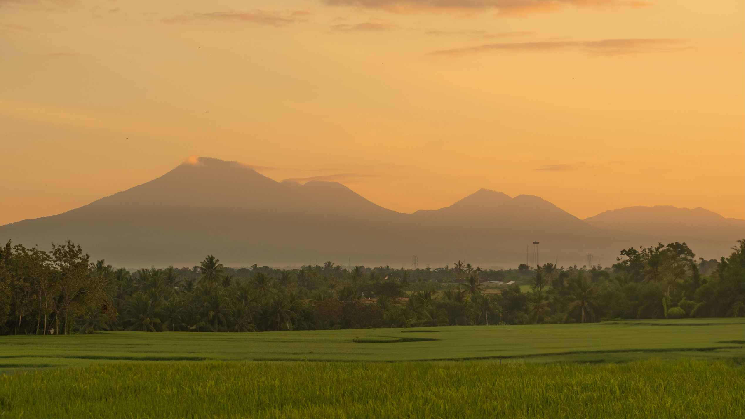 Nyanyi Bali